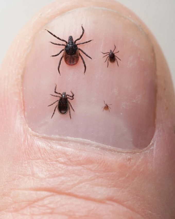 KliniekTwente preventieve geneeskunde