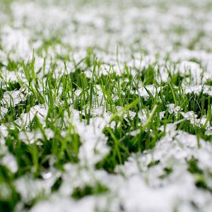 KliniekTwente - Eerste sneeuw